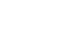 Dissoil