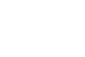 F3 Snow